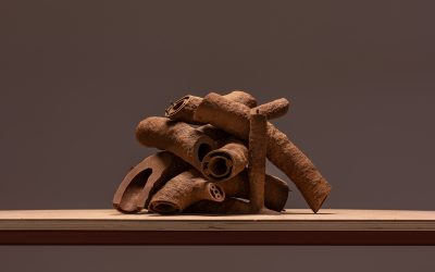 Nicholas Mangan, Termite Economies (Phase 1), Melbourne, 4 August-1 September