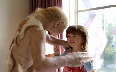 Patricia Piccinini: Curious Imaginings at the Vancouver Biennale
