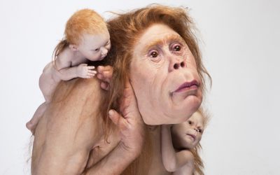 Patricia Piccinini, Through Love… at TarraWarra Museum of Art until 11 March 2019
