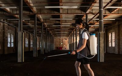 Daniel Boyd, Kaldor Public Art Project 34: Asad Raza, Carriageworks Sydney, 3 – 19 May 2019