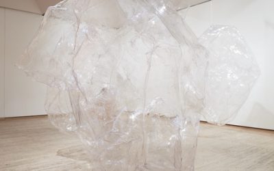 Mikala Dwyer: Earthcraft, Govett Brewster Art Gallery, New Zealand