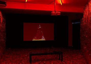 Mikala Dwyer, Bill Henson & Paul Yore, Idle Worship, Lismore Regional Gallery, NSW, 17 August – 13 October 2019