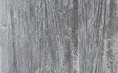 Louise Weaver and Stephan Bram,  ‘A shining light’, Geelong Gallery, 2020 – 21 February 2021