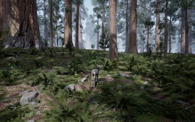 MeMO: Grant Stevens, ‘Fawn in the Forest’